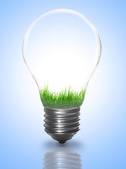 Natural energy concept. Lightbulb with summer meadow, trees and