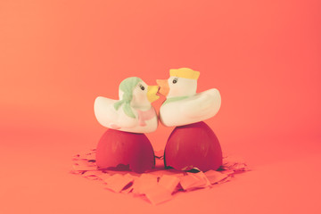 White ceramic ducks with lovely couple concept.