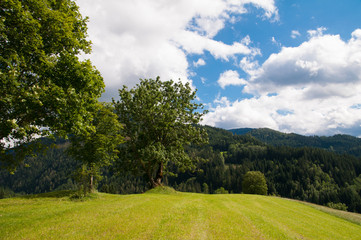 Berge in Österreich