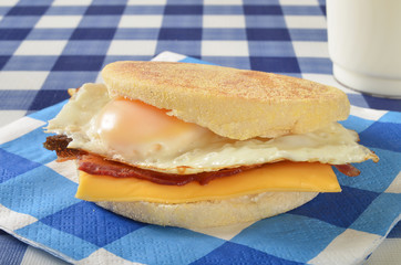Fried egg sandwich