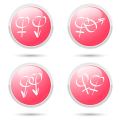 sex symbol on button vector