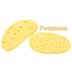 Potatoes vector