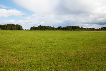 Green field.