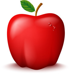 Fresh Red Apple Illustration