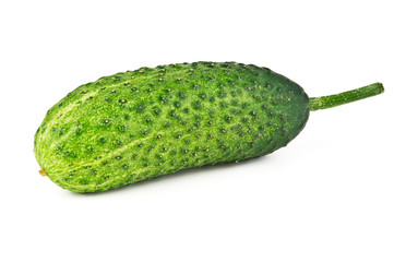 Young cucumber