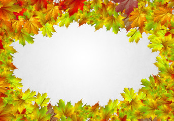 Autumn leaves