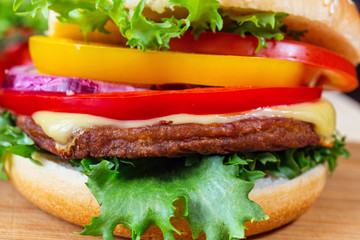 homemade hamburger with fresh vegetables, close up