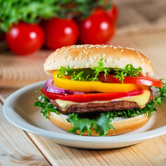 homemade hamburger with fresh vegetables, close up