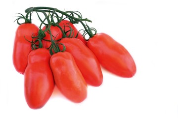 Fresh long tomato