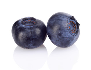 Studio shot of two fresh blueberries isolated white