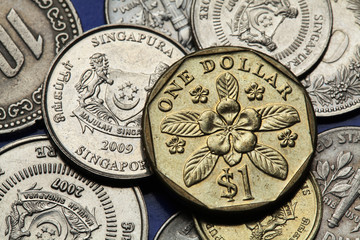 Fototapeta na wymiar Coins of Singapore