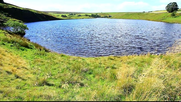 grassholme reservoir uk