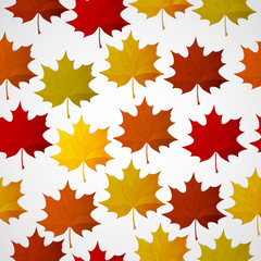 Fototapeta premium Abstract background with autumn colorful leaves.
