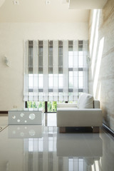 Fototapeta na wymiar White sofa modern interior