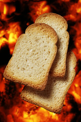toast bread slices