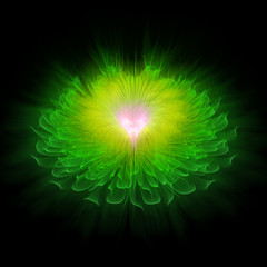 Green fractal flower