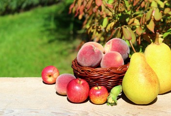 obst im garten