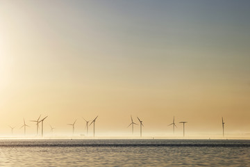 windmills at sunrise in Holland