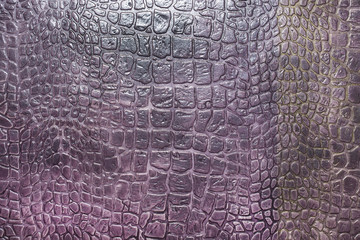 texture of crocodile skin