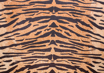 texture of tiger skin