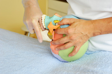 Osteopathische Demonstration am Schädel-Modell