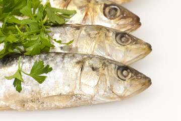 Fresh sardines with parsley leaves