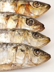 Fresh sardines on white background