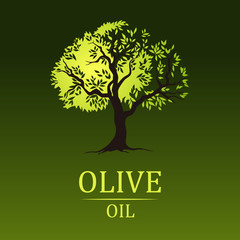 Olive tree . Olive oil. For labels, pack. yellow green leaves