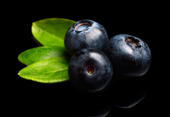Macro closeup view blueberries leaves isolated black