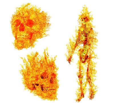 human skeleton ans skulls in flame on isolated on white