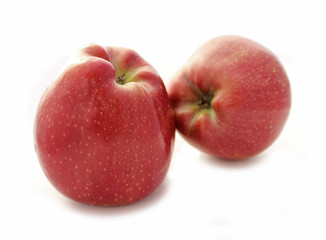 Apples isolated