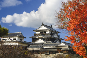 Naklejka premium Matsuyama Castle