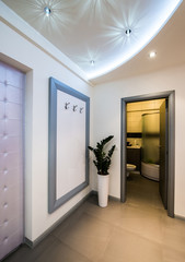 modern antechamber interior