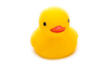 Duck toy