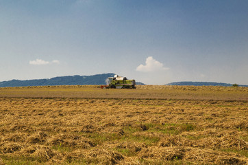 Fototapeta premium Harvester working on the field