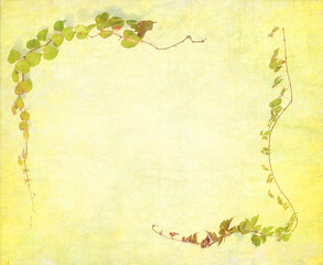 green ivy on old grunge antique paper texture