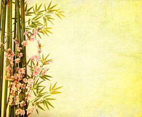 bamboo on old grunge paper texture background