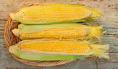 corn on the cob in basket © suzanam