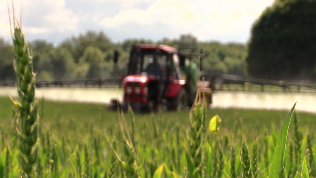 farmer spray agricultural tractor fertilizer on cereal field