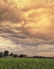 Fototapeta premium Landscape and clouds