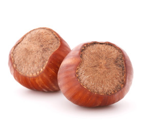 hazelnut or filbert nut isolated on white background cutout