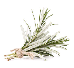 rosemary herb spice leaves isolated on white background cutout
