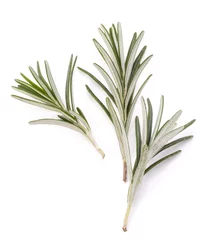 Papier Peint photo Aromatique rosemary herb spice leaves isolated on white background cutout
