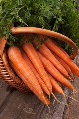 fresh carrots in wicker basket bunch on grungy wooden background