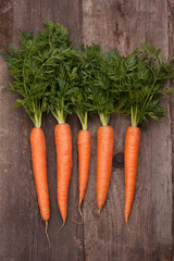 fresh carrot bunch on grungy wooden background