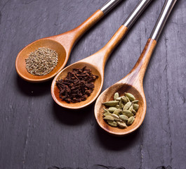 Spices set.Various seasonings for cooking, anise, cardamom