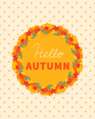 Hello autumn