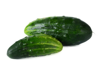 Cucumber