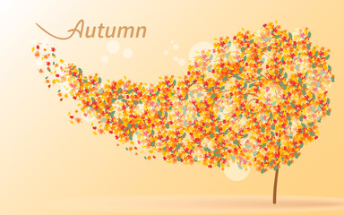 Autumnal background