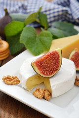 Camembert cheese